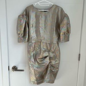 Birgitte Herskind Puff Sleeve, Sparkly Dress, Size US 8